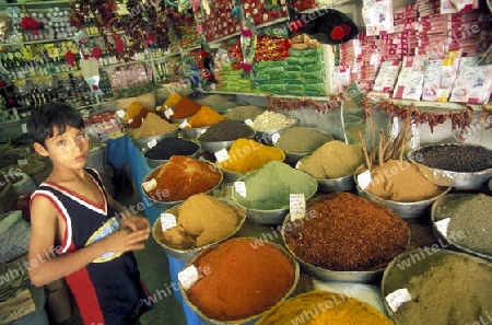 Gewuerze und Lebensmittel auf dem Souq oder Markt in der Altstadt oder Medina von Sousse am Mittelmeer  in Tunesien in Nordafrika.   