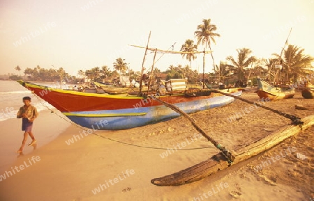 Asien, Indischer Ozean, Sri Lanka,
Ein traditionelles Fischerboot mit Fischern beim Kuestendorf Hikkaduwa an der Westkueste von Sri Lanka. (URS FLUEELER)






