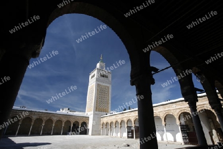 Afrika, Tunesien, Tunis, Altstadt, Medina, Souq, Altstadt,
