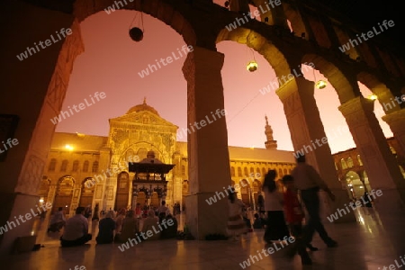 Asien, Naher Osten, Syrien, Damaskus,   Der Innenhof der  Omaijad Moschee im Souq und Altstadt von Damaskus in der Hauptstadt von Syrien. 