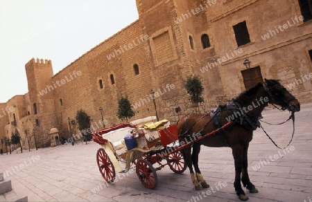 Eine Pferdekutsche mit Besuchern bei der Palca de la Reina in der Altstadt von Palma de Mallorca der Hauptstadt der Insel Mallorca einer der Balearen Inseln im Mittelmeer.