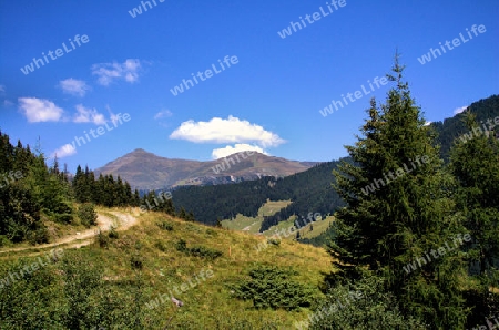 Hochtal in den Alpen