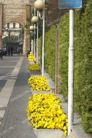 Lazise am Gardasee