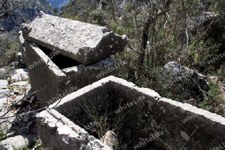 Termessos