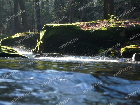 Flu?, Wald, Felsen