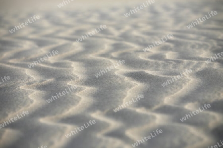 the Sanddunes at the Playa des Ingles in town of Maspalomas on the Canary Island of Spain in the Atlantic ocean.