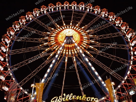 Riesenrad bei Nacht 2