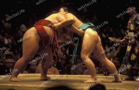 a Sumo fight in the Sumo Arena in the City centre of Tokyo in Japan in Asia,