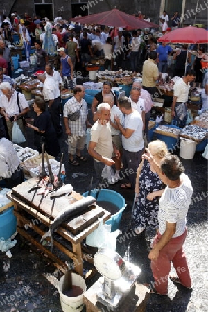 The Fishmarket in the old Town of Catania in Sicily in south Italy in Europe.