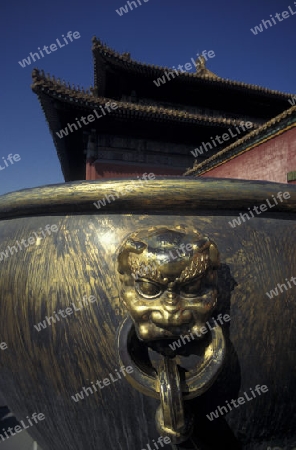 the forbidden city in the city of beijing in the east of china in east asia. 