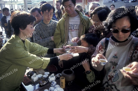 tea at a Teamarket in Kowloon in Hong Kong in the south of China in Asia.