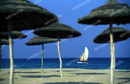 Afrika, Tunesien, Monastir
Ein Strand bei der Kuestenstadt Monastir in Central Tunesien. (URS FLUEELER)






