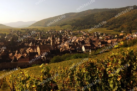 the olt town of the village of Riquewihr in the province of Alsace in France in Europe