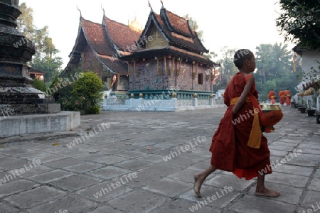 Moenche im Tempel Xieng Thong in der Altstadt von Luang Prabang in Zentrallaos von Laos in Suedostasien.  