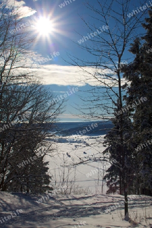 Gegen die Sonne