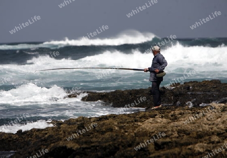 the coast of  Los Lagos on the Island Fuerteventura on the Canary island of Spain in the Atlantic Ocean.