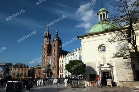 Der Rynek Glowny Platz mit der Marienkirche in der Altstadt von Krakau im sueden von Polen. 