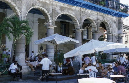 the Plaza de la Catedral in the old town of the city Havana on Cuba in the caribbean sea.