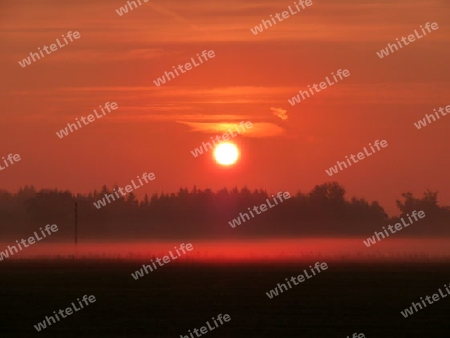 Sonnenaufgang im Nebel