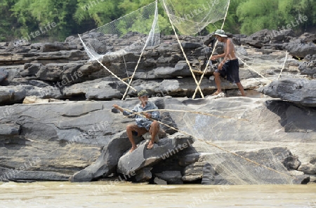 Ein Fischer in der Steinlandschaft im Mekong River des Naturpark Sam Phan Bok bei Lakhon Pheng am Mekong River in der Provinz Amnat Charoen nordwestlich von Ubon Ratchathani im nordosten von Thailand in Suedostasien.