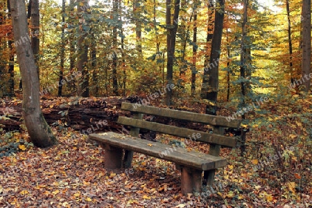 Silent Bench