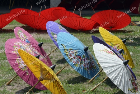 Traditionalle Schirme und Faecher aus Paier werden produziert in einer Papierschirm Fabrik in Chiang Mai im norden von Thailand in Suedostasien.