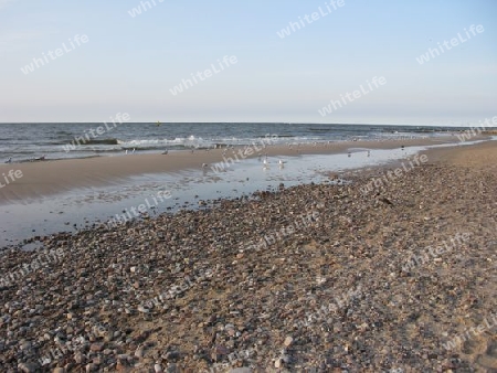 Kieselstrand an der Ostsee