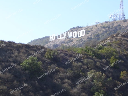 Hollywood