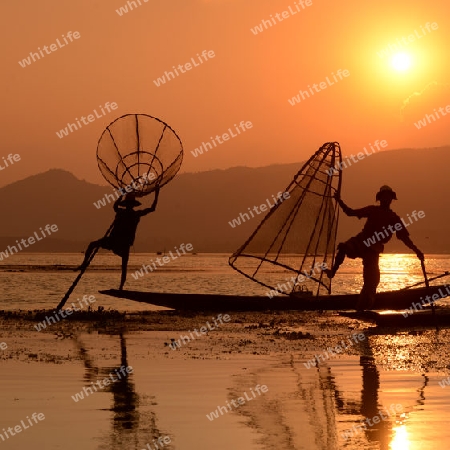 Fishermen at sunset in the Landscape on the Inle Lake in the Shan State in the east of Myanmar in Southeastasia.