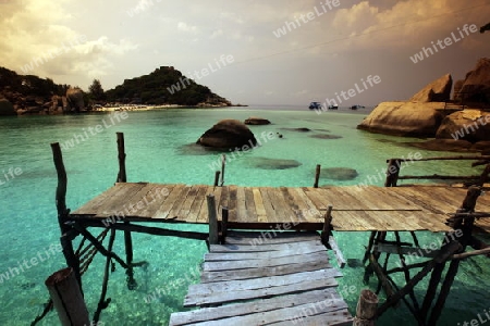 Die Strand und Insellandschaft auf der Insel Koh Naang Yuan neben der Insel Ko Tao im Golf von Thailand im Suedwesten von Thailand in Suedostasien. 