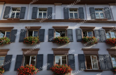  the old town of Freiburg im Breisgau in the Blackforest in the south of Germany in Europe.