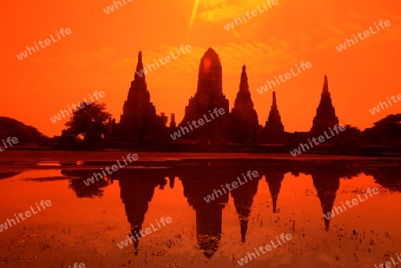 The Wat Chai Wattanaram Temple in City of Ayutthaya in the north of Bangkok in Thailand, Southeastasia.