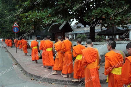 Moenche am fruehen Morgen beim einsammeln von Reis in der Altstadt von Luang Prabang in Zentrallaos von Laos in Suedostasien.