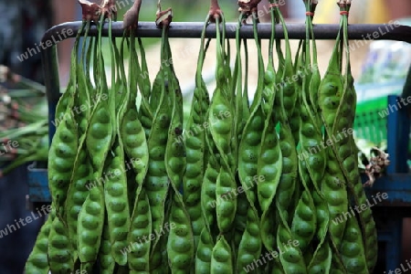 Erbsen auf dem Markt von Nonthaburi im Norden von Bangkok der Hauptstadt von Thailand in Suedostasien.  