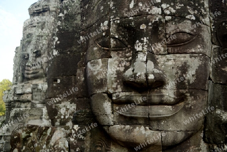 Stone Faces the Tempel Ruin of Angkor Thom in the Temple City of Angkor near the City of Siem Riep in the west of Cambodia.