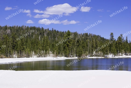 Winterlandschaft mit See 