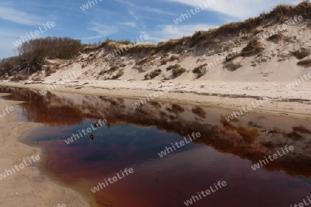 Weststrand auf dem Darss, Nationalpark Vorpommersche Boddenlandschaft, Deutschland