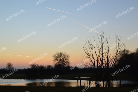 Sonnenuntergang Rheinaue