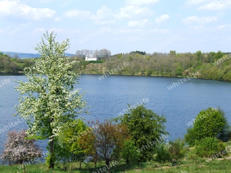 Weinfelder Maar oder Totenmaar