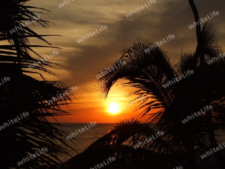 Caribbean Sunset