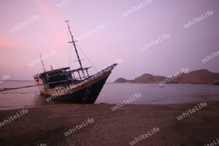 Die Landschaft bei Dili an der Nordkueste von Ost Timor auf der in zwei getrennten Insel Timor in Asien.  