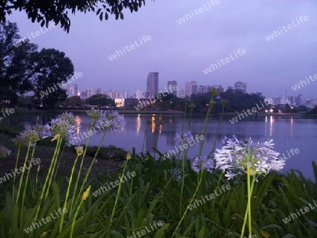 Parque Ibirapuera/Sao Paulo