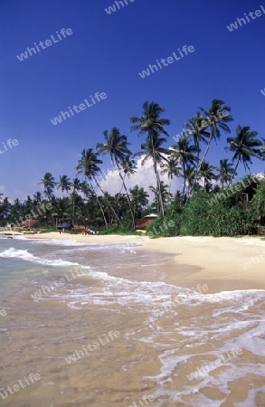 Ein Strand bei Hikkaduwa im sueden von Sri Lanka in Asien.