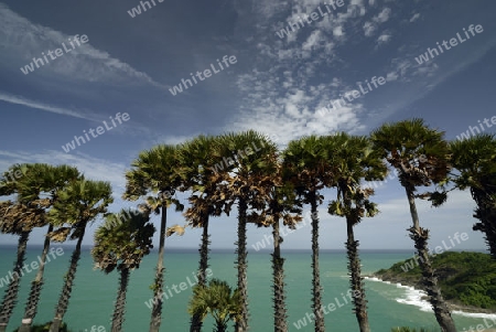 Der Aussichtspunkt Kap Promthep bei der Rawai Beach im sueden der Insel Phuket im sueden von Thailand in Suedostasien.