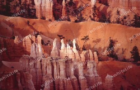 Bryce Canyon