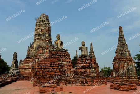 The Wat Chai Wattanaram Temple in City of Ayutthaya in the north of Bangkok in Thailand, Southeastasia.