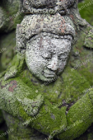 Traditionelle Figuren stehen im Garten von Ban Phor Linag Meuns Terracota Art zum Verkauf bereit dies im Terracota Garden in Chiang Mai im norden von Thailand in Suedostasien.