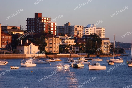 Manly at Sunset