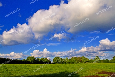 Landschaft pur