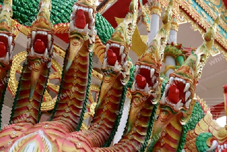 a Temple in city centre of Amnath Charoen north of the City of Ubo Ratchathani in the east  of Thailand. 